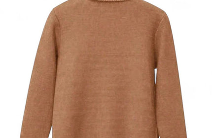 Luxe Timeless Turtleneck